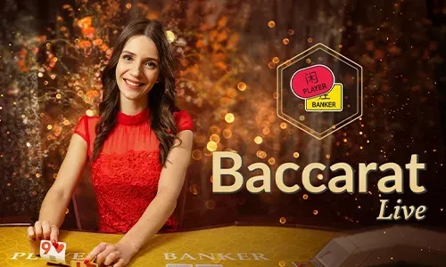 Daily Rewards and Cashback